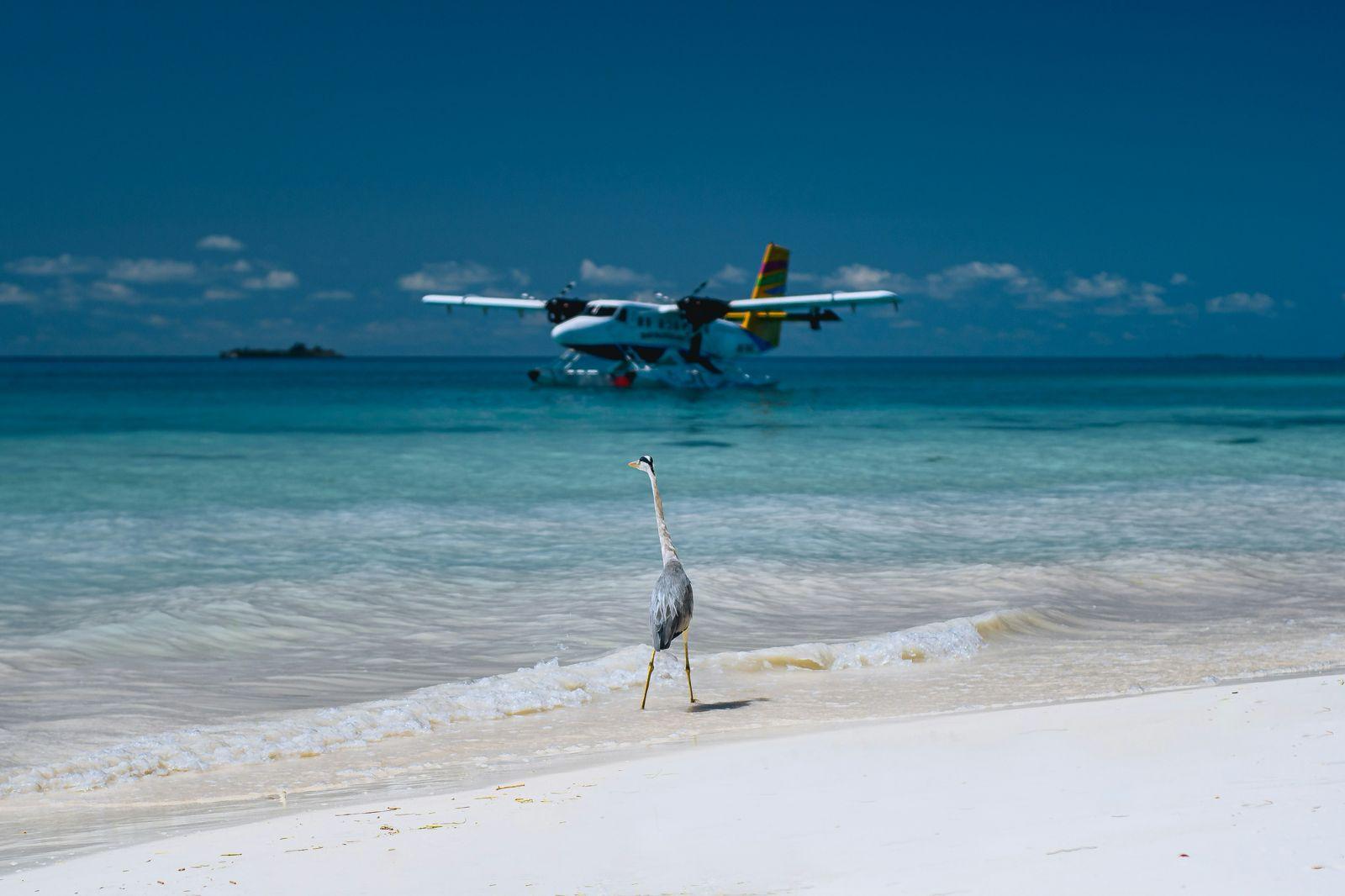 aviation Aviation law: seaplane on turquoise water off a Maldivian beach